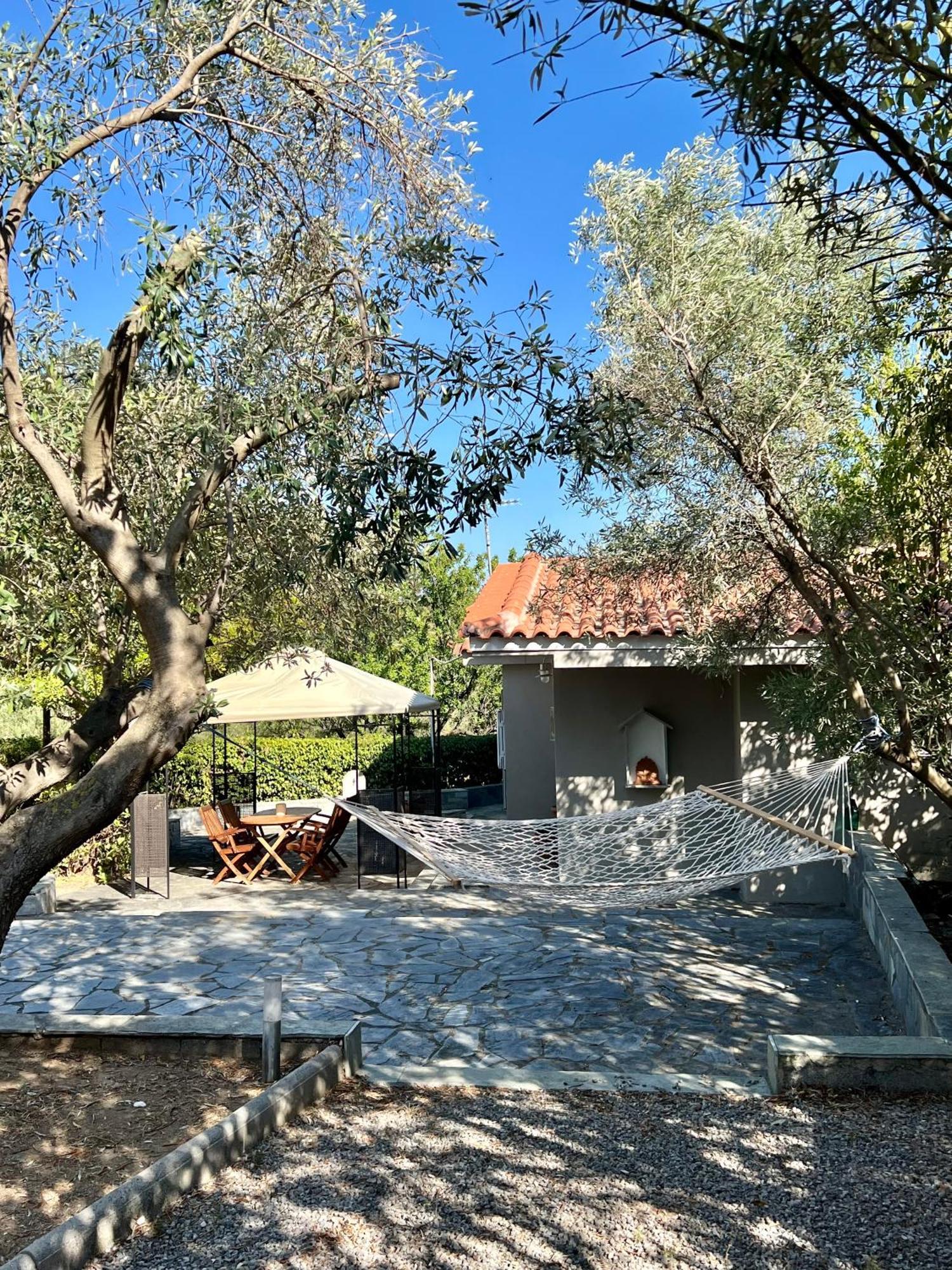 Villa Terrina 애이오이아포스톨로이 외부 사진